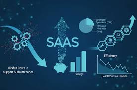 Saas Cost Optimization Services